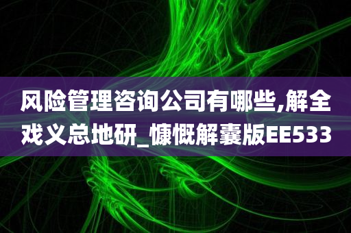 风险管理咨询公司有哪些,解全戏义总地研_慷慨解囊版EE533