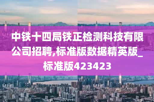 中铁十四局铁正检测科技有限公司招聘,标准版数据精英版_标准版423423