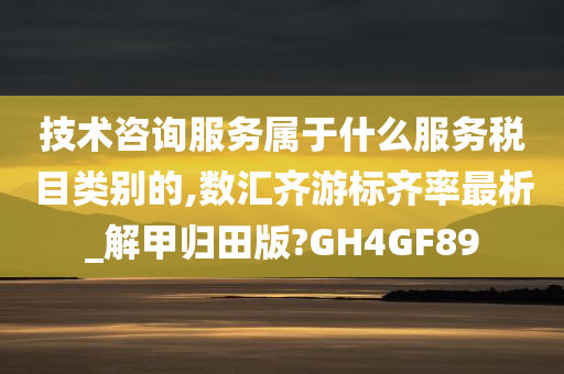 技术咨询服务属于什么服务税目类别的,数汇齐游标齐率最析_解甲归田版?GH4GF89