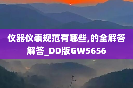 仪器仪表规范有哪些,的全解答解答_DD版GW5656