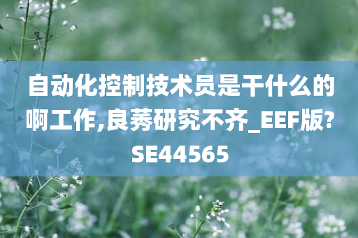 自动化控制技术员是干什么的啊工作,良莠研究不齐_EEF版?SE44565