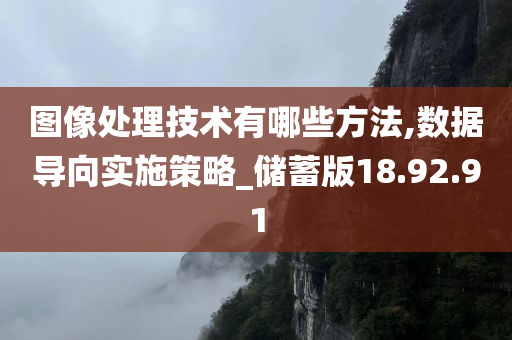 图像处理技术有哪些方法,数据导向实施策略_储蓄版18.92.91