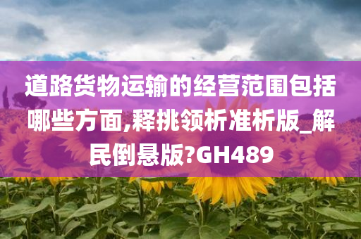 道路货物运输的经营范围包括哪些方面,释挑领析准析版_解民倒悬版?GH489