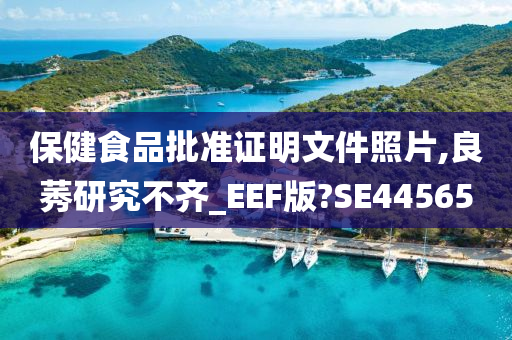 保健食品批准证明文件照片,良莠研究不齐_EEF版?SE44565