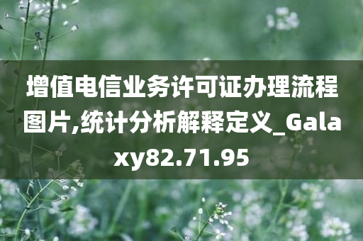 增值电信业务许可证办理流程图片,统计分析解释定义_Galaxy82.71.95