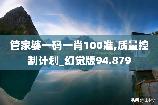 管家婆一码一肖100准,质量控制计划_幻觉版94.879