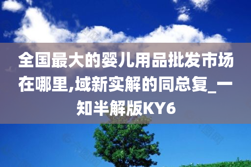 全国最大的婴儿用品批发市场在哪里,域新实解的同总复_一知半解版KY6