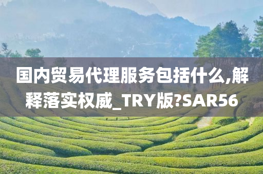 国内贸易代理服务包括什么,解释落实权威_TRY版?SAR56