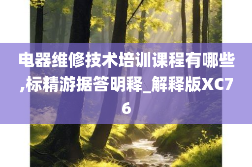 电器维修技术培训课程有哪些,标精游据答明释_解释版XC76