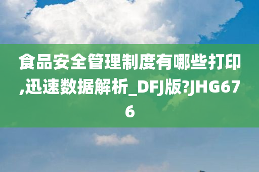 食品安全管理制度有哪些打印,迅速数据解析_DFJ版?JHG676