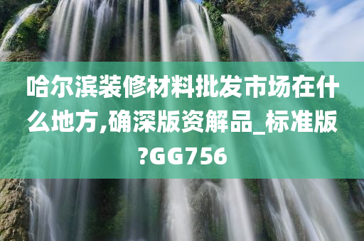 哈尔滨装修材料批发市场在什么地方,确深版资解品_标准版?GG756