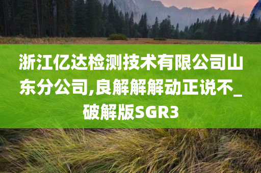 浙江亿达检测技术有限公司山东分公司,良解解解动正说不_破解版SGR3