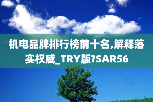 机电品牌排行榜前十名,解释落实权威_TRY版?SAR56