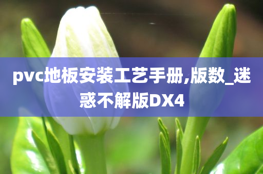 pvc地板安装工艺手册,版数_迷惑不解版DX4