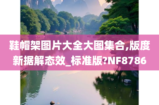 鞋帽架图片大全大图集合,版度新据解态效_标准版?NF8786