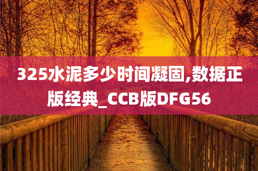 325水泥多少时间凝固,数据正版经典_CCB版DFG56