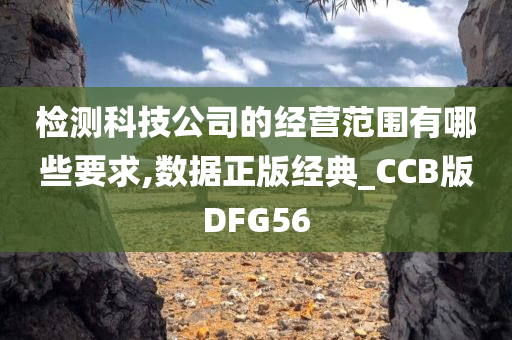 检测科技公司的经营范围有哪些要求,数据正版经典_CCB版DFG56