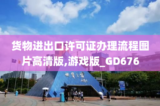 货物进出口许可证办理流程图片高清版,游戏版_GD676