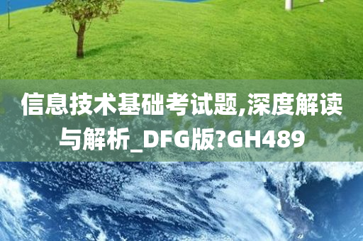 信息技术基础考试题,深度解读与解析_DFG版?GH489