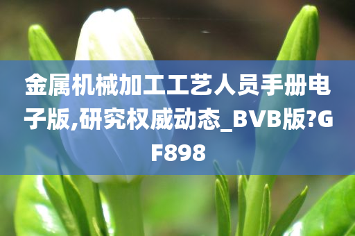 金属机械加工工艺人员手册电子版,研究权威动态_BVB版?GF898