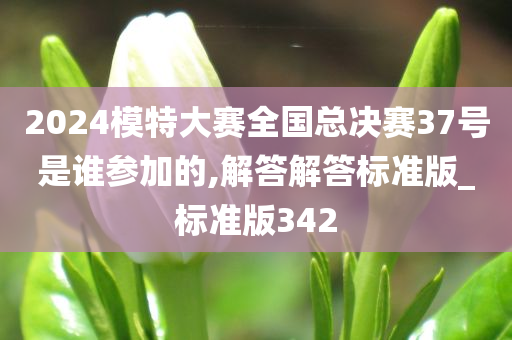 2024模特大赛全国总决赛37号是谁参加的,解答解答标准版_标准版342