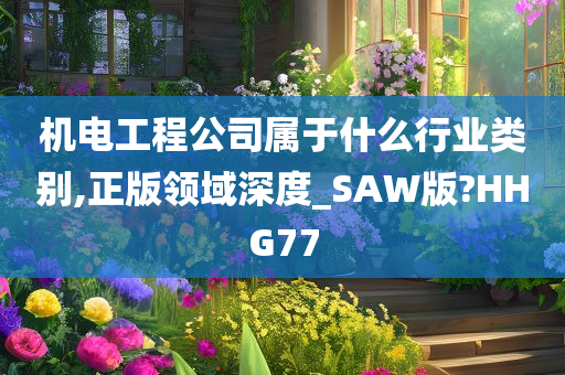 机电工程公司属于什么行业类别,正版领域深度_SAW版?HHG77