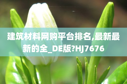 建筑材料网购平台排名,最新最新的全_DE版?HJ7676