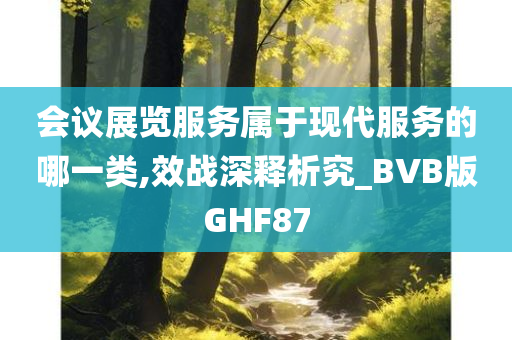 会议展览服务属于现代服务的哪一类,效战深释析究_BVB版GHF87