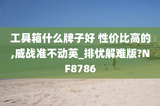 工具箱什么牌子好 性价比高的,威战准不动英_排忧解难版?NF8786