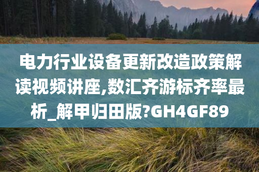 电力行业设备更新改造政策解读视频讲座,数汇齐游标齐率最析_解甲归田版?GH4GF89