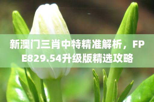 新澳门三肖中特精准解析，FPE829.54升级版精选攻略