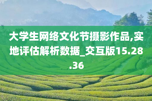 大学生网络文化节摄影作品,实地评估解析数据_交互版15.28.36