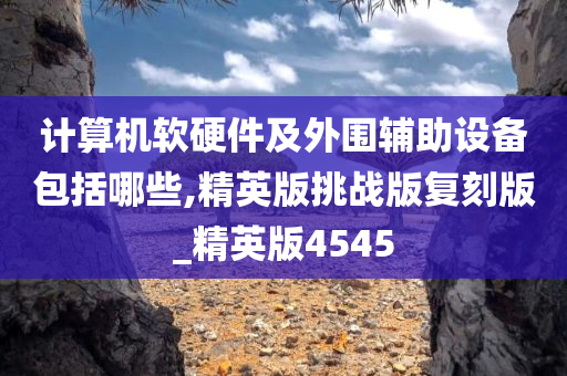 计算机软硬件及外围辅助设备包括哪些,精英版挑战版复刻版_精英版4545