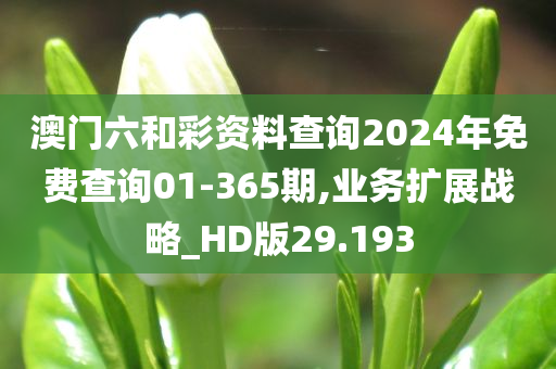 澳门六和彩资料查询2024年免费查询01-365期,业务扩展战略_HD版29.193