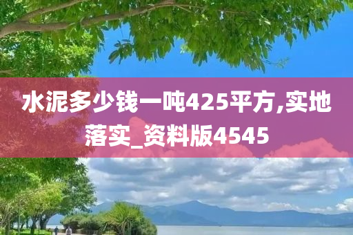 水泥多少钱一吨425平方,实地落实_资料版4545