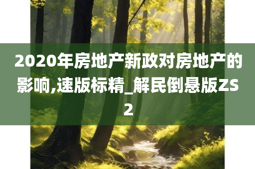 2020年房地产新政对房地产的影响,速版标精_解民倒悬版ZS2