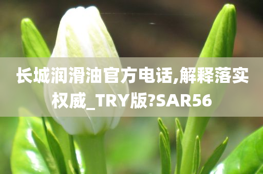 长城润滑油官方电话,解释落实权威_TRY版?SAR56