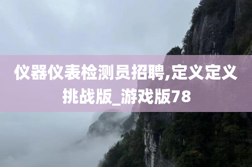 仪器仪表检测员招聘,定义定义挑战版_游戏版78