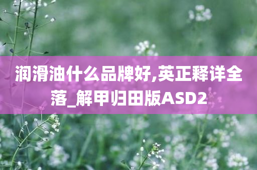 润滑油什么品牌好,英正释详全落_解甲归田版ASD2