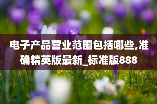 电子产品营业范围包括哪些,准确精英版最新_标准版888