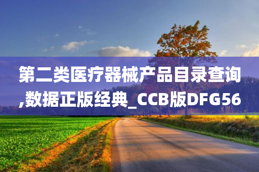 第二类医疗器械产品目录查询,数据正版经典_CCB版DFG56