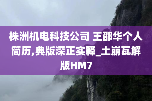 株洲机电科技公司 王邵华个人简历,典版深正实释_土崩瓦解版HM7