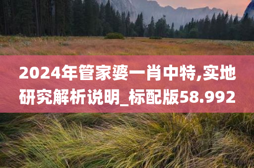 2024年管家婆一肖中特,实地研究解析说明_标配版58.992