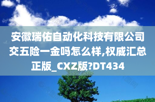 安徽瑞佑自动化科技有限公司交五险一金吗怎么样,权威汇总正版_CXZ版?DT434