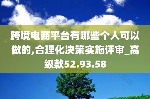 跨境电商平台有哪些个人可以做的,合理化决策实施评审_高级款52.93.58