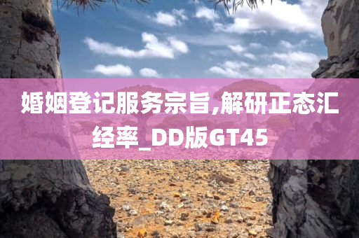 婚姻登记服务宗旨,解研正态汇经率_DD版GT45