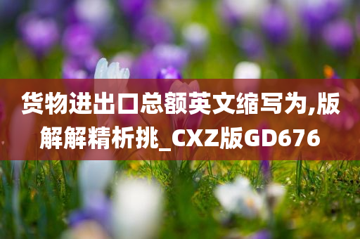 货物进出口总额英文缩写为,版解解精析挑_CXZ版GD676