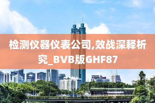 检测仪器仪表公司,效战深释析究_BVB版GHF87