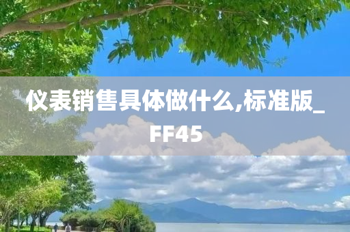 仪表销售具体做什么,标准版_FF45