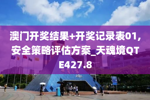 澳门开奖结果+开奖记录表01,安全策略评估方案_天魂境QTE427.8